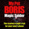 Magic Spider - My Pet Boris - iPhoneアプリ