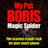 Magic Spider - My Pet Boris contact information