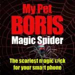 Magic Spider - My Pet Boris App Contact
