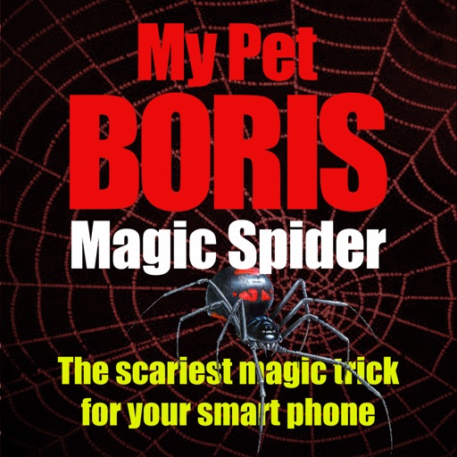 Magic Spider - My Pet Boris