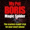Magic Spider - My Pet...