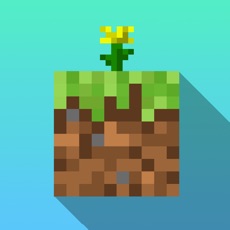 Activities of Seeds: Minecraft Edition