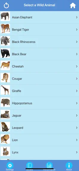 Game screenshot Wild Animals Quiz apk
