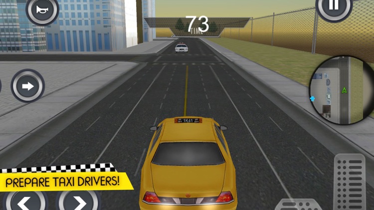 Crazy Taxi Cab Driver