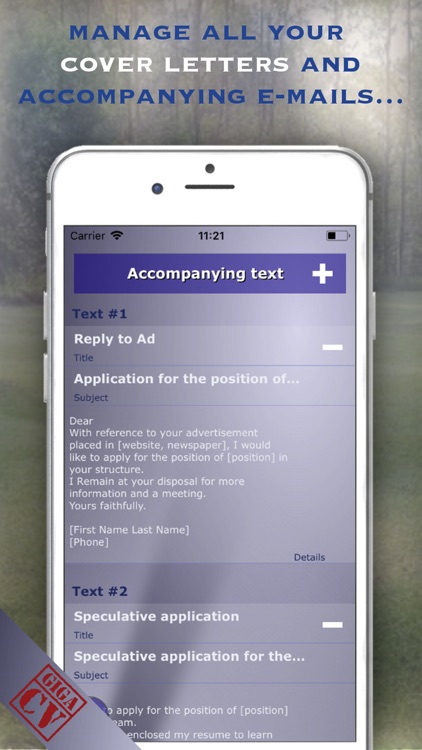 giga-cv Your resume screenshot-3