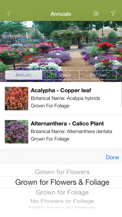 Armitage’s Great Garden Plants