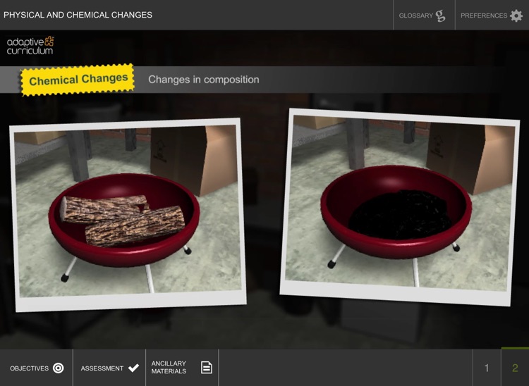 Physical and Chemical Changes screenshot-3