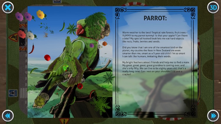 Flying Birds Digital screenshot-3