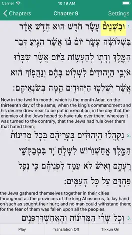 Game screenshot JOFA's Megillat Esther hack