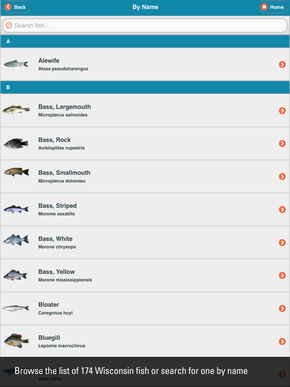 WI Fish ID iPad screenshot 2 - Education app