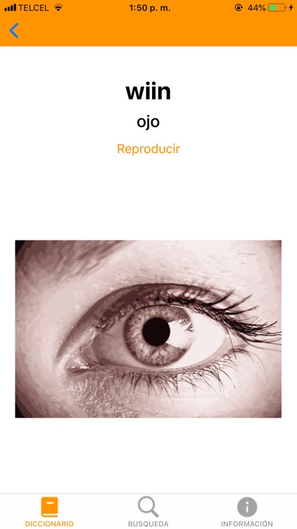 Diccionario Traductor Ayuuk