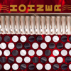 Hohner Chromatic Accordion - Michael Eskin