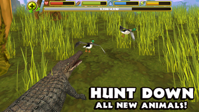 Wildlife Simulator: Crocodile screenshot 4