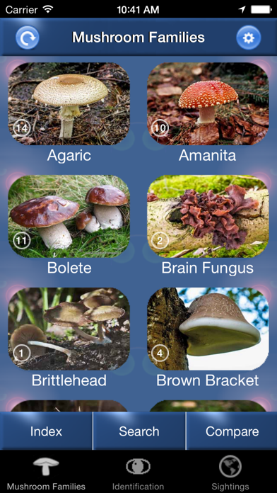 Screenshot #1 pour Mushroom Id Guide - UK