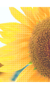 Camera 4 HalfTone screenshot