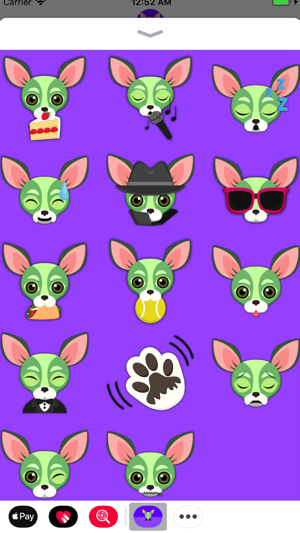 Saint Patrick's Day Chihuahua(圖3)-速報App