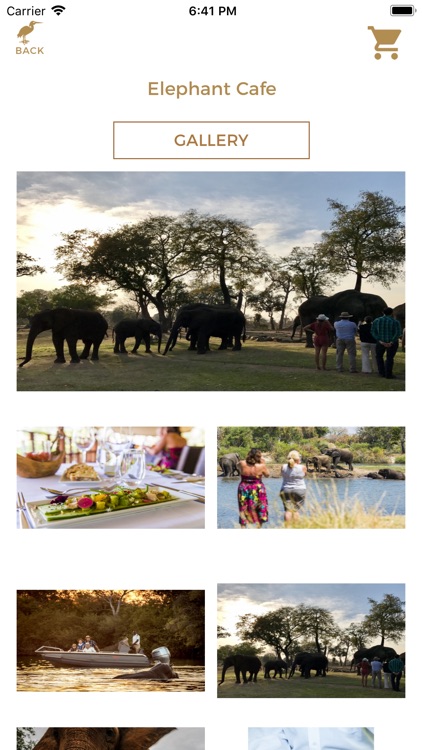 Victoria Falls Activities