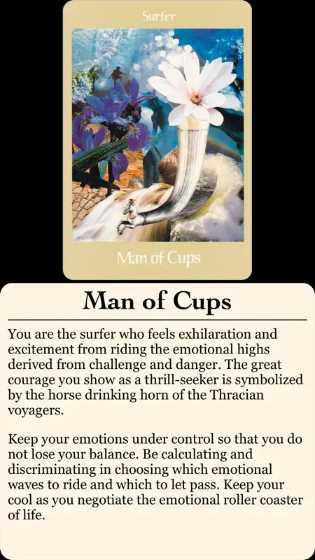 Voyager Tarot screenshot 4 of 5