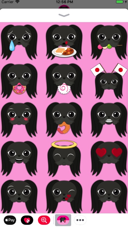 Black Japanese Chin