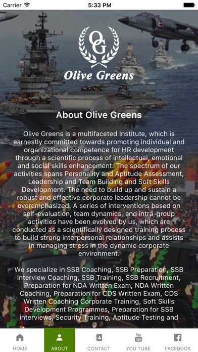 Olive Greens screenshot 2