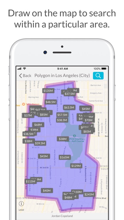 REW IDX Home Search screenshot-4