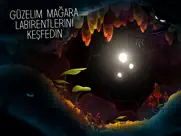 shine - işığın yolculuğu ipad resimleri 1