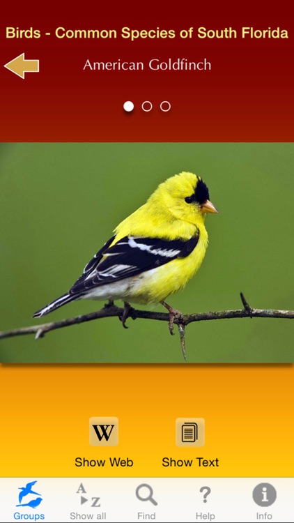 Birds of South Florida