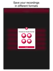 voice & audio recorder pro айпад изображения 3