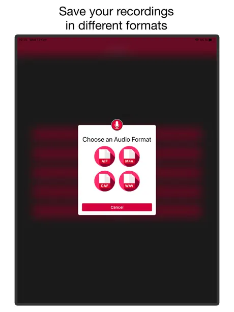 Voice & Audio Recorder PRO
