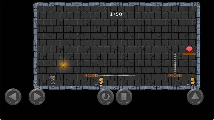 Ninja Survivor