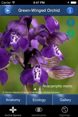 Game screenshot Orchid Id - British Orchids apk