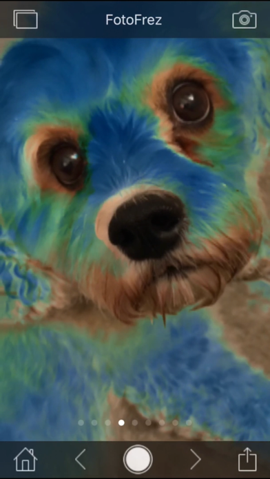 Sensory FotoFrez - Fun Fotos iPhone screenshot 6 - Photo & Video app