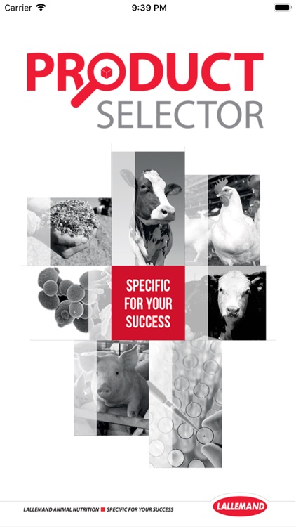 LAN - Product Selector Tool