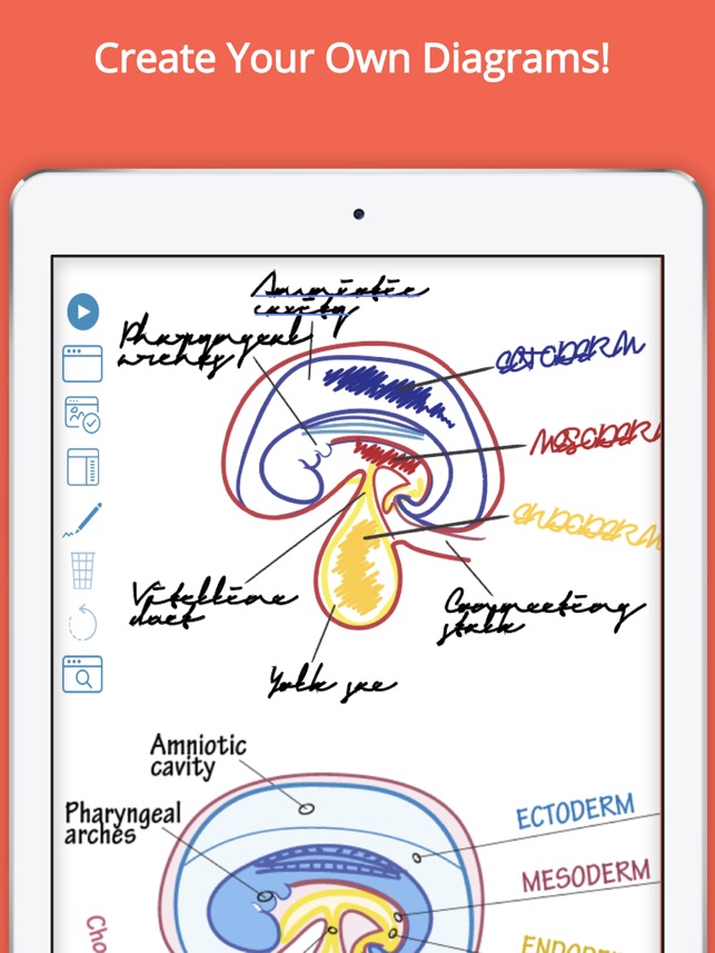 Draw it to Know it: New Medical & Biological Science Resources for Students  and Instructors