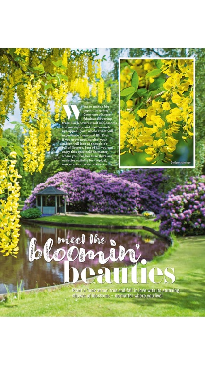 Better Homes and Gardens