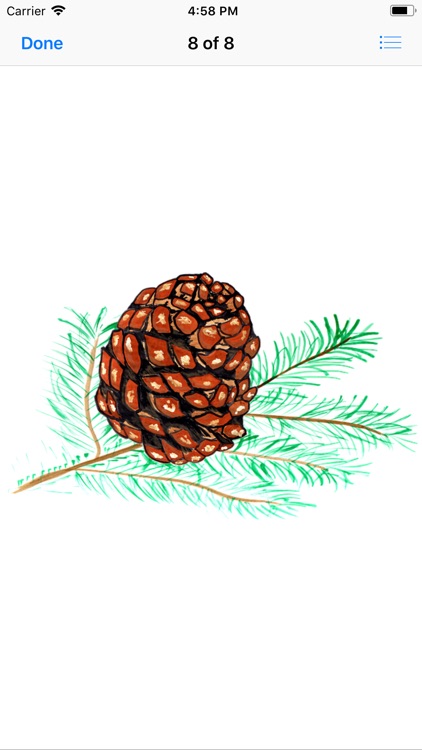Pine Cone Stickers screenshot-8