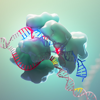 CRISPR-Cas9 - Howard Hughes Medical Institute