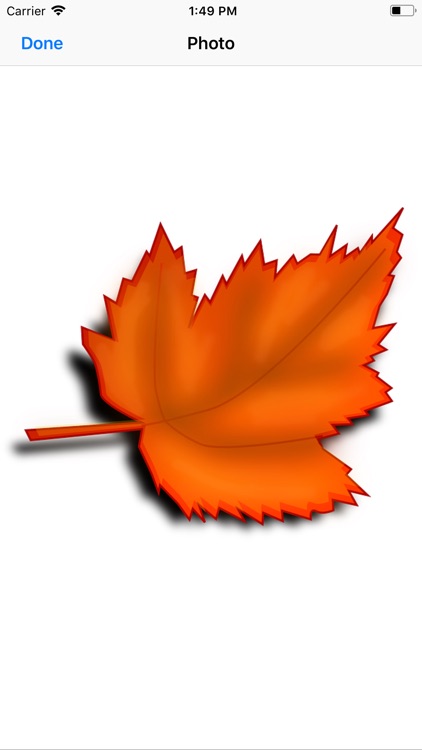 Maple Leaf Stickers