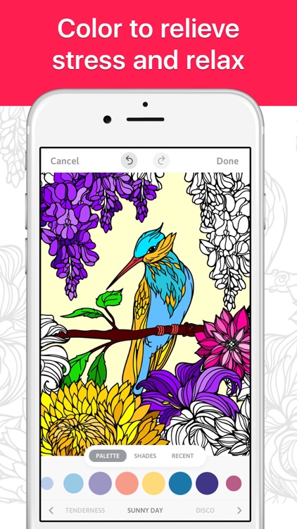Coloring Book Now for Adults