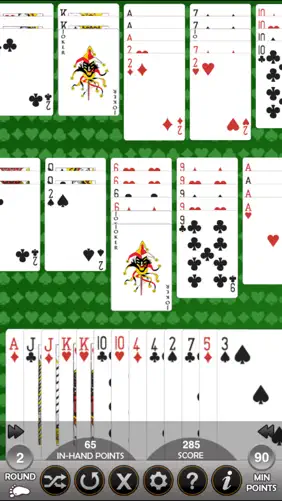 Hand and Foot Card Game screenshot 1