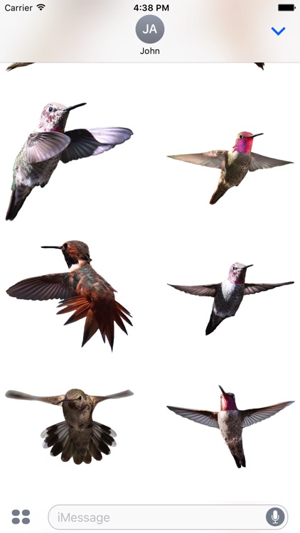 Hummingbirds - Large (Retina)