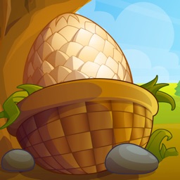 Dragons Egg