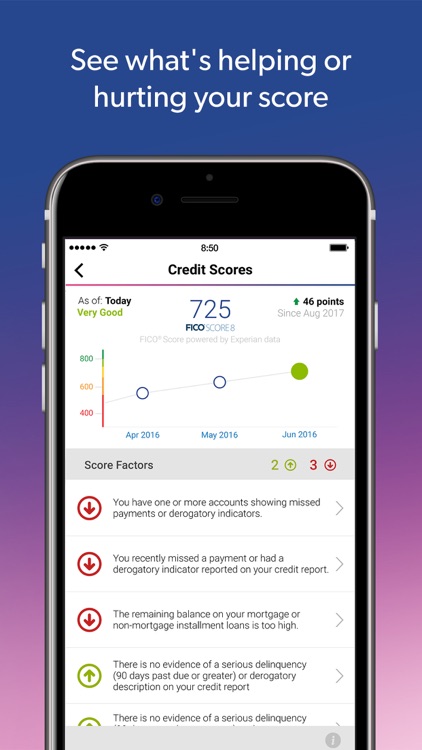 Experian Credit Report & Score