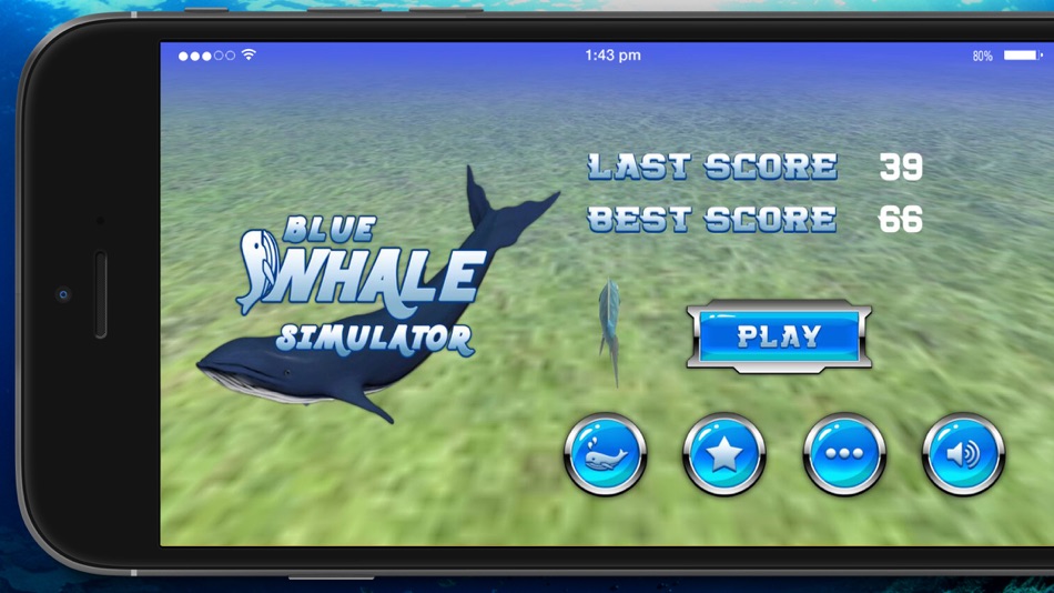Blue Whale Simulator - 1.0 - (iOS)