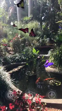 Game screenshot AR Butterflies apk