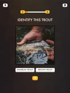 Fly Fishing Quiz iPad image 2