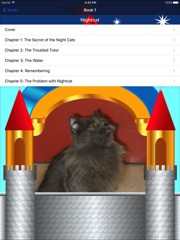 Screenshot #5 pour Kitty Castle Books