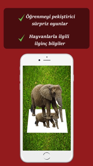 Magical Animals - 3D İngilizce(圖4)-速報App