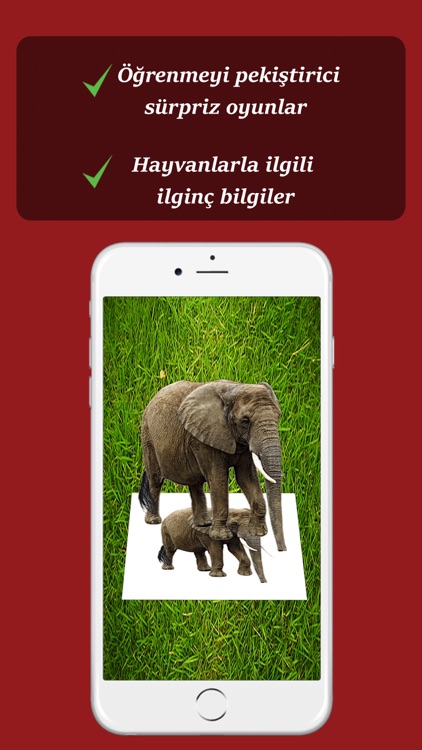 Magical Animals - 3D İngilizce screenshot-3