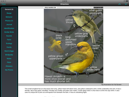 Screenshot #5 pour iBird Hawaii & Palau Guide